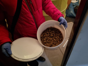 Pěstitel z Brněnska má po živnosti. Jeho marihuanové království objevili policisté