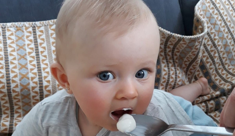 Lipánek je jako jediný bez škrobu, dusíku, želatiny a xanthanu