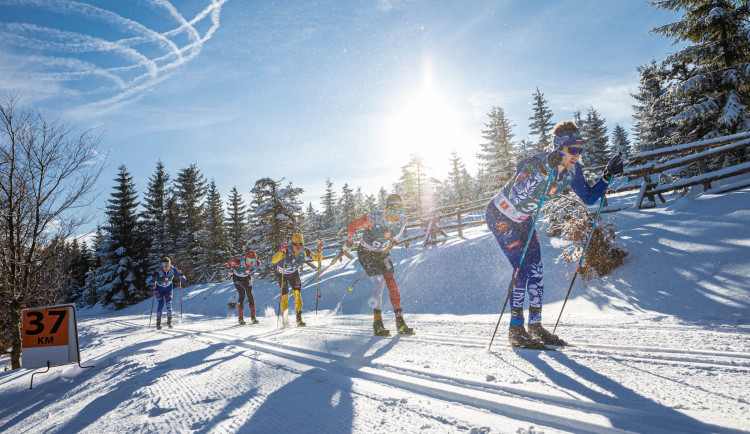 Veverkova 741/25 Praha 7