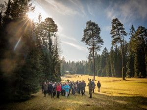 Lidem se po třech letech otevře vzácné arboretum na Brněnsku