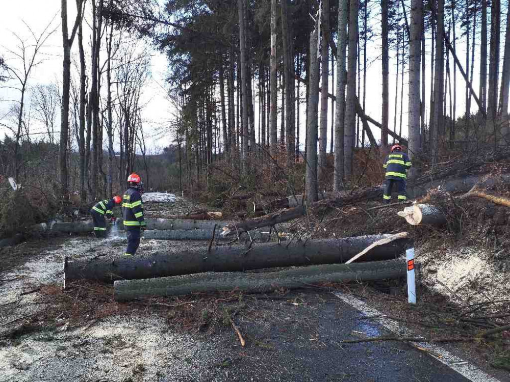 Na jižní Moravu dorazil silný vítr. Tisíce odběratelů jsou bez elektřiny | Společnost | Zprávy | Brněnská Drbna - zprávy z Brna a Jihomoravského kraje