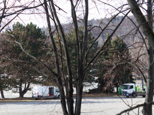 V Brně vyroste nová smyčka pro šaliny, dělníci začali s kácením stromů