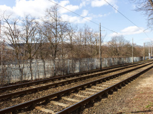 V Brně vyroste nová smyčka pro šaliny, dělníci začali s kácením stromů