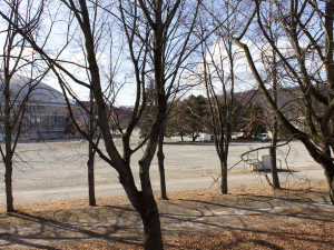 V Brně vyroste nová smyčka pro šaliny, dělníci začali s kácením stromů