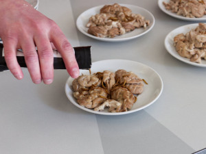 Rekordman v Brně spořádal za pět minut čtyřicet prasečích mozků