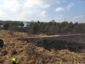 Jihomoravští hasiči bojovali s hořící trávou. Plameny zasáhly tři hektary louky
