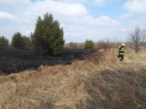 Jihomoravští hasiči bojovali s hořící trávou. Plameny zasáhly tři hektary louky