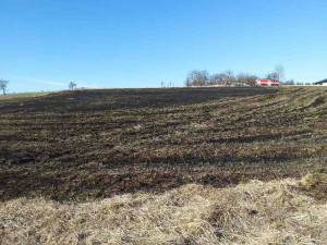 Sucho a vítr. Jižní Moravu zasáhl neobvyklý počet požárů