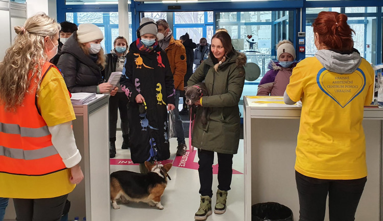 Mapování ubytovacích zařízení pokračuje, KACPU už odbavilo přes pět tisíc uprchlíků