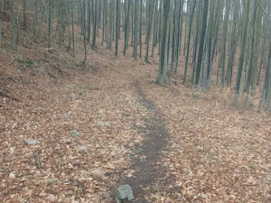 Na Brněnsku hledají nepřítele cyklistů, který na ně nastražil zákeřnou past