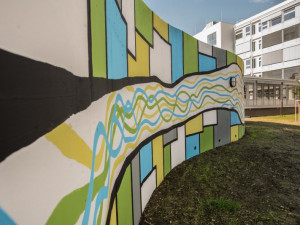 Zdravotníci z Brna udělali radost psychiatrickým pacientům. Pomalovali zeď v areálu nemocnice