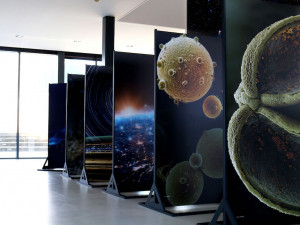 Unikátní spojení vesmíru a nanosvěta. Brněnská expozice boduje na světové výstavě i na hvězdárně