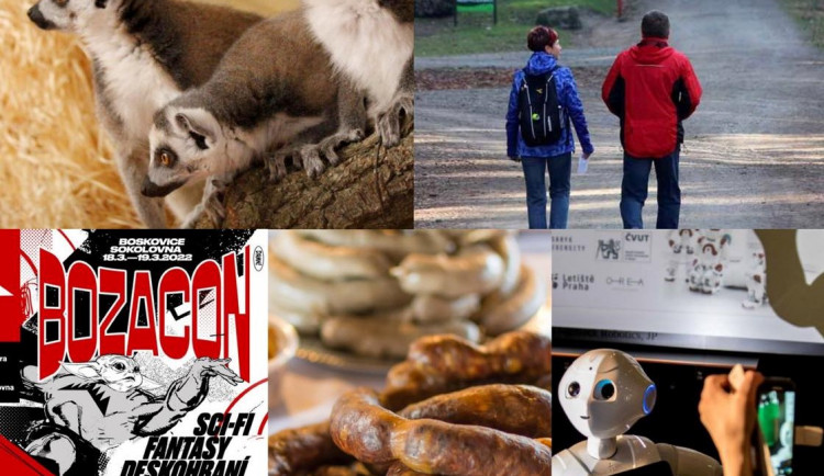 Kam o víkendu na jižní Moravě? Do zoo, na zabíjačku nebo na turistický pochod