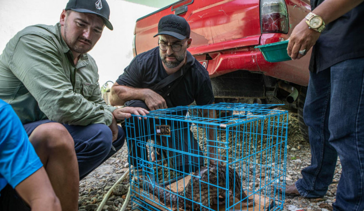 Ochranáři z liberecké a ostravské zoo pomohli dopadnout indonéského pašeráka ohrožených druhů zvířat