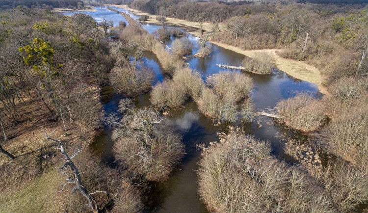 Upouštění vody do lesů.