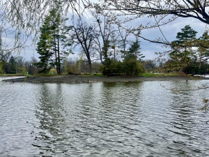 Pokračuje revitalizace Zámeckého rybníku v Lednici. Nádrž má nové břehy