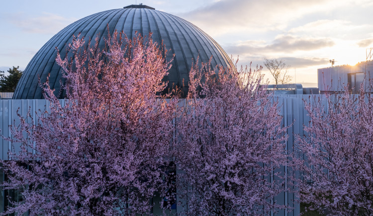 Hvězdárna vzkazuje: Poznej brněnskou džungli!