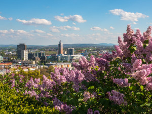 Hvězdárna vzkazuje: Poznej brněnskou džungli!