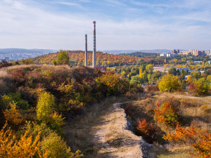 Hvězdárna vzkazuje: Poznej brněnskou džungli!