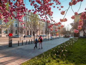 Hvězdárna vzkazuje: Poznej brněnskou džungli!