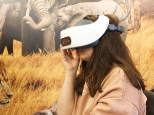 Výlet mezi divoká zvířata. Brňany přenese virtuální realita do Afriky