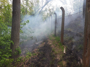 Hasiči v Brně hodiny bojovali s požárem lesa. Pomáhat musel vrtulník