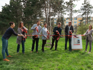 Chyťte se příležitosti a změňte Brno díky participativnímu rozpočtu