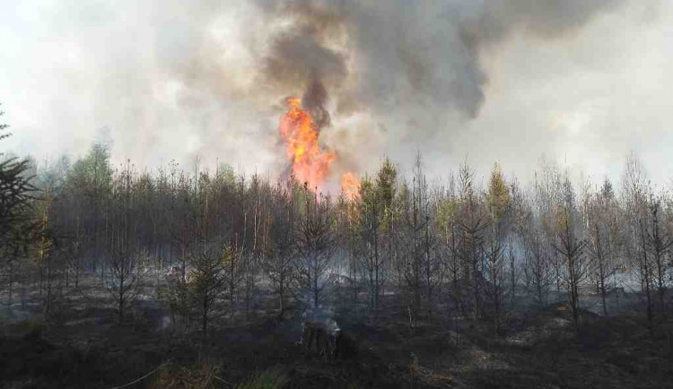 Na Brněnsku hořel les. Hasiči vyhlásili třetí stupeň poplachu