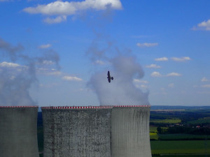 Sokolí pár vyseděl na stometrovém komínu v Dukovanech čtyřčata. Ornitologové se radují