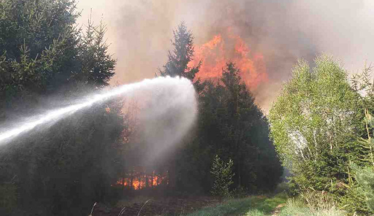 Lesy budou v Česku hořet čím dál častěji. Na vině je klimatická změna a bezohlední návštěvníci