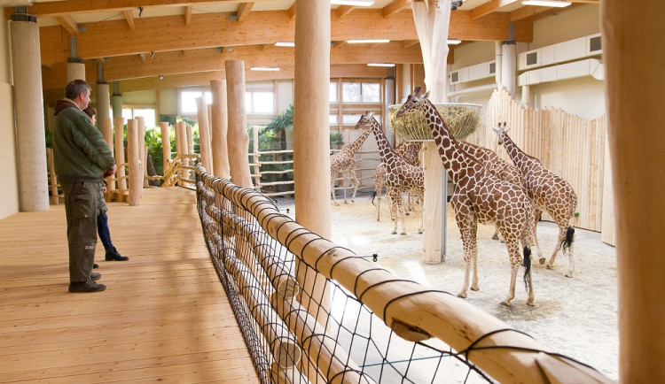 Královédvorský safari park získal tři významné ceny