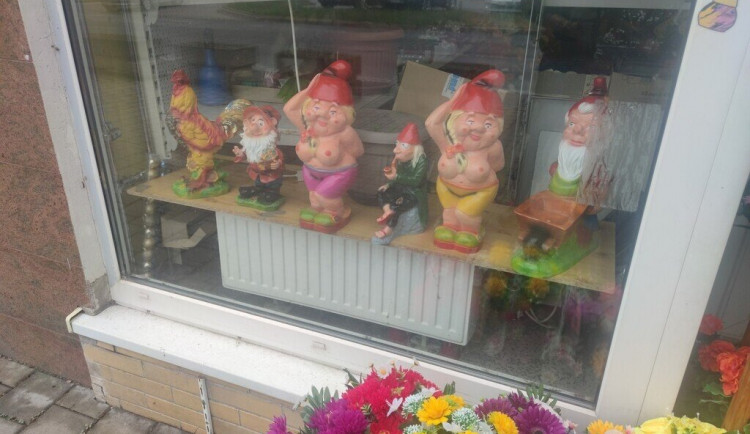 284291841_5124214234294978_1269042012588940334_n