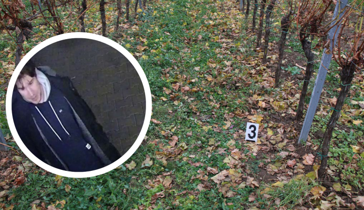 Vinice, v níž došlo k trestnému činu