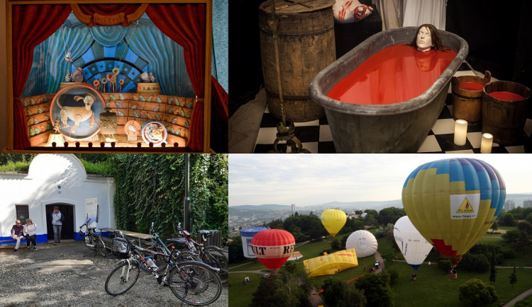 BeFunky-collage (13)