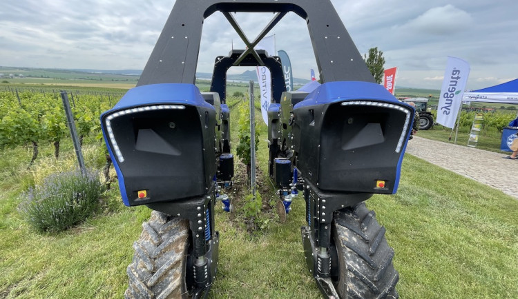 Vinařům pomáhá francouzský robot. Ovládá se mobilem a stará se o vinohrad