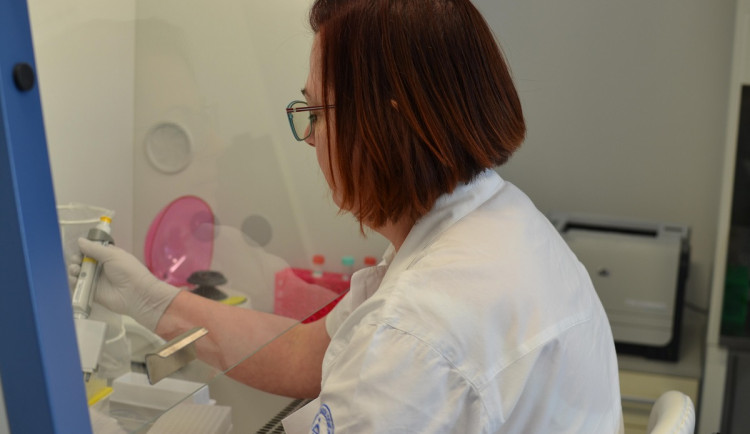 Pracovnice MOÚ Jitka Berkovcová se vzorkem