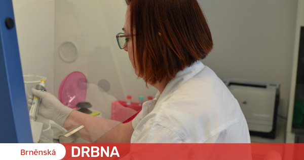 Women with breast cancer can avoid chemotherapy.  Tests in Brno will help Health |  News |  Brno Gossip