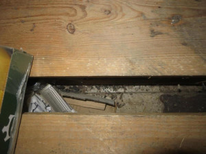 Z brněnského supermarketu se linul silný zápach myšího trusu