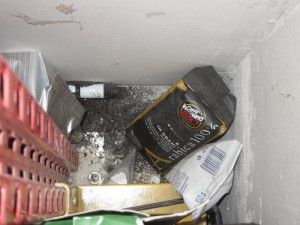 Z brněnského supermarketu se linul silný zápach myšího trusu