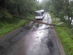 Bouřka na jihu Moravy lámala stromy a utrhla střechu