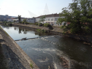 V Brně dělníci vytahovali bagrem z řeky zabahněného plavce