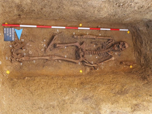 Archeologové našli na jižní Moravě kostru germánského bojovníka pohřbeného se psy