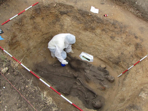 Archeologové našli na jižní Moravě kostru germánského bojovníka pohřbeného se psy