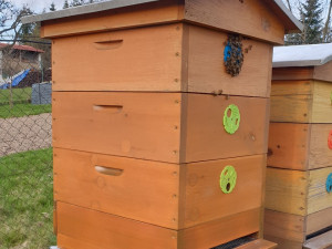 Vědci z Brna loví zloděje včel. Do úlů dali speciální stopovací systém