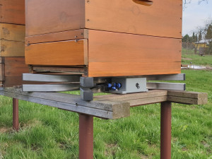 Vědci z Brna loví zloděje včel. Do úlů dali speciální stopovací systém