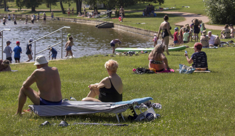 Brněnská přehrada má problém se sinicemi. Voda není ideální, připouští hygienici