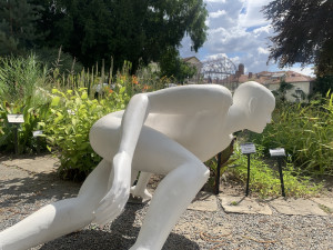 V brněnské botanické zahradě překvapí návštěvníky flekatý Mauglí i běloruský domeček