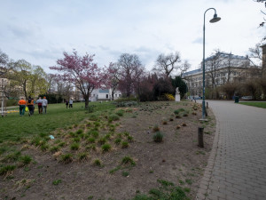 Brno upraví část Malinovského náměstí, aby se za něj nemuselo stydět