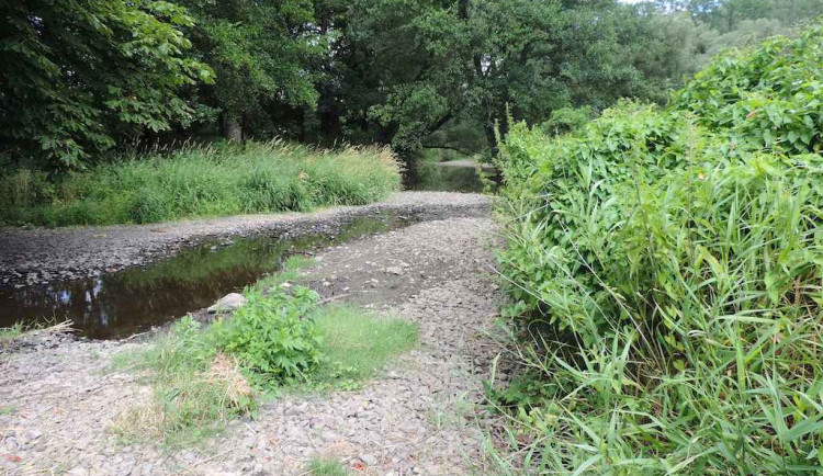 V jihomoravských řekách teče málo vody, hlásí odborníci