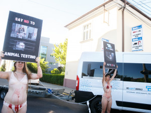 Aktivistky na jižní Moravě se kvůli zvířatům svlékly a polily umělou krví